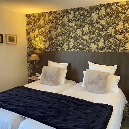 Cit'hotel De France Et D'europe فندق